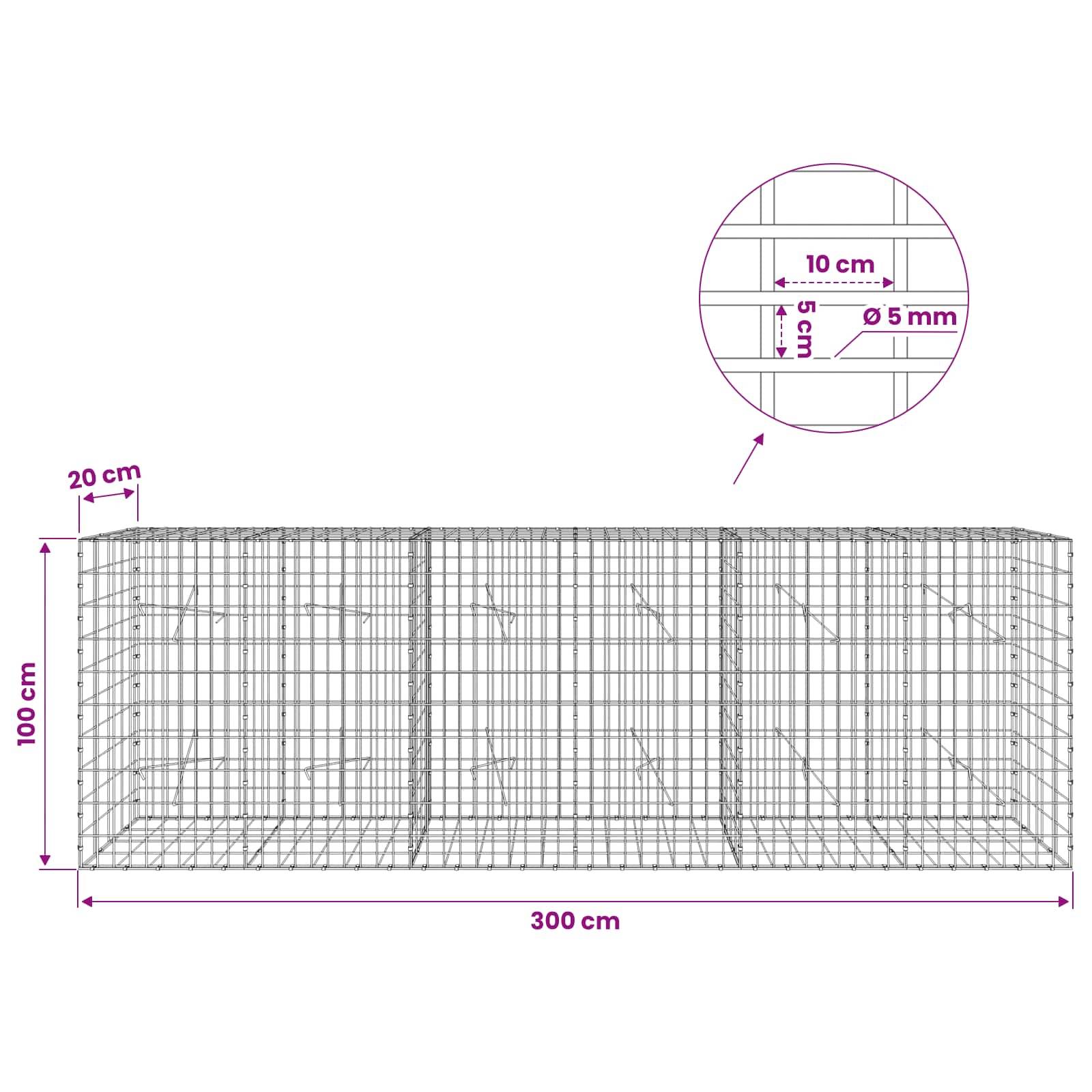Drahtgitterkäfig-Diagramm mit einer Länge von 300 cm, einer Höhe von 100 cm und einer Breite von 20 cm, mit Detailansicht zeigt 10 cm Abstände und 5 mm Drahtdicke.