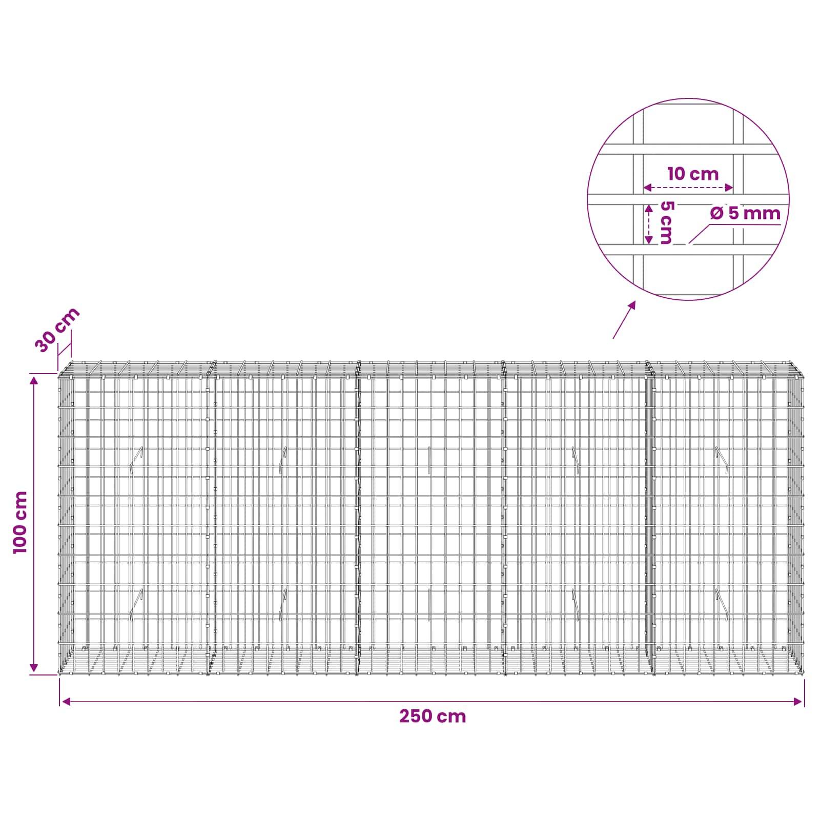Drahtmaschenzzaun-Diagramm mit einem 250 cm breiten, 100 cm hohen Panel mit 30 cm Tiefe und Nahaufnahme von 10 cm Maschenweite und 5 mm Drahtdurchmesser.