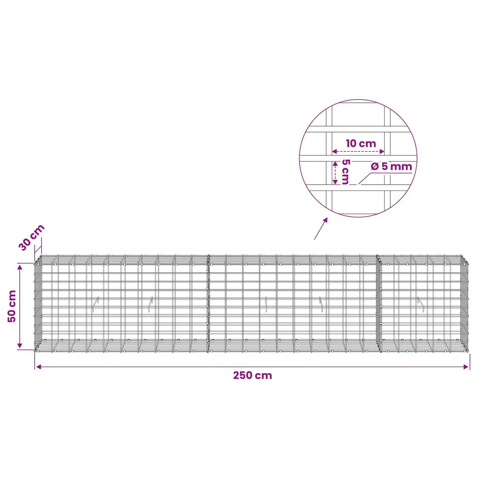 Drahtgeflecht-Schüttkörbe (Gabionen) Diagramm mit Abmessungen 250 cm Länge, 50 cm Höhe, 30 cm Tiefe, mit 10 cm Rasterabstand und 5 mm Drahtdurchmesser.