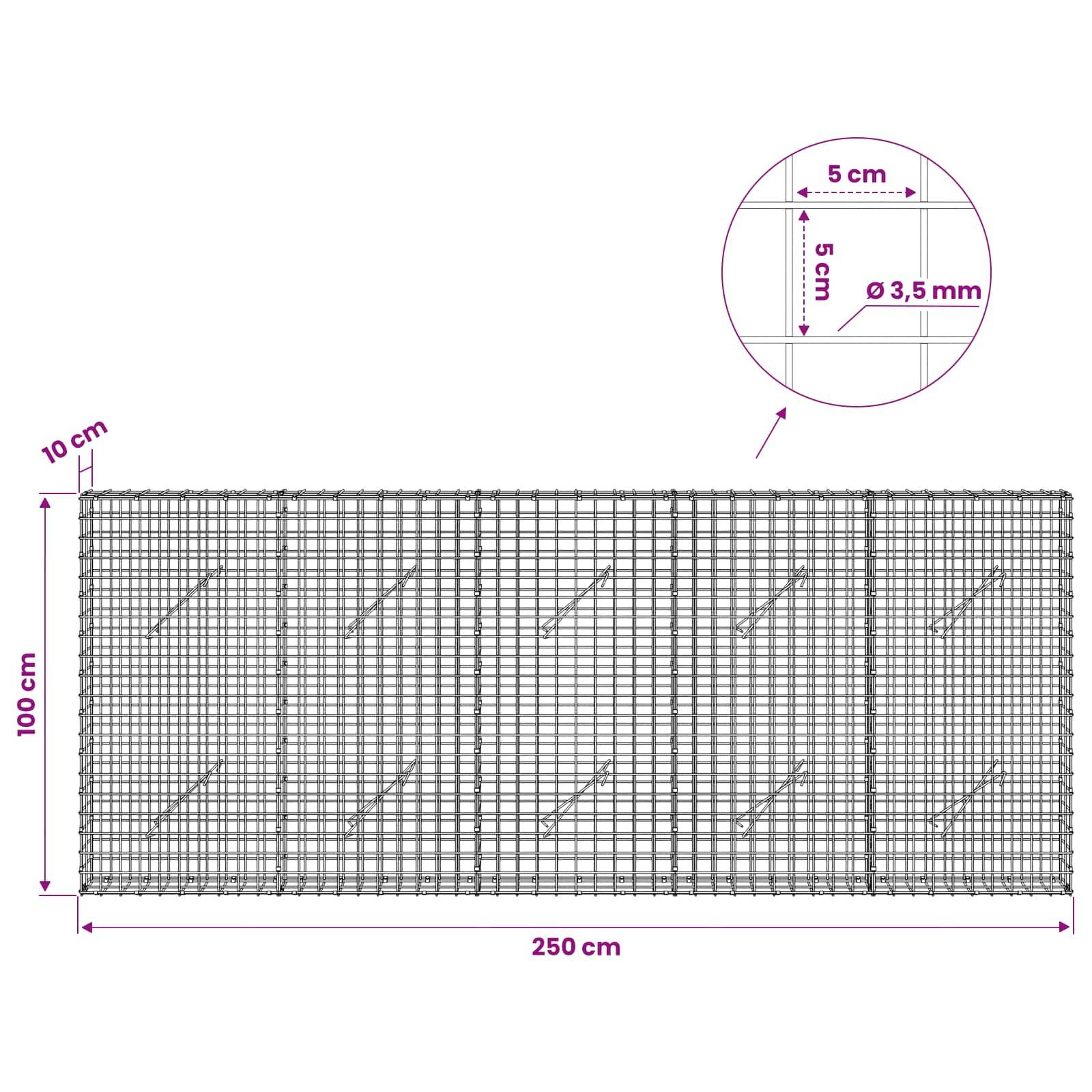 Drahtgitterpanel-Diagramm mit Abmessungen: 250 cm breit × 100 cm hoch, 10 cm Randabstand und 5 cm Gitter mit Detailausschnitt Drahtdurchmesser 3,5 mm.