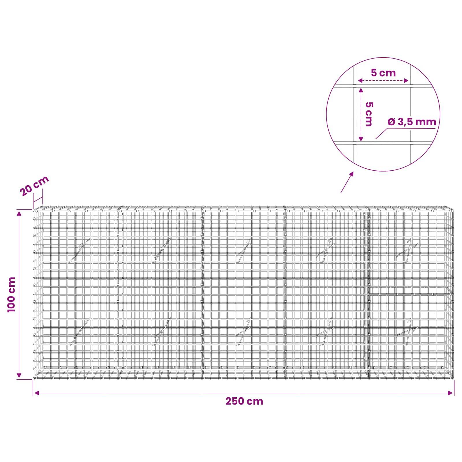 Diagramm eines rechteckigen Drahtgitterpaneels mit den Abmessungen 250 cm Breite und 100 cm Höhe, mit einem 20 cm oberen Bereich und 5 cm Gitterabstand; Detailausschnitt zeigt Drahtgröße Ø 3,5 mm.