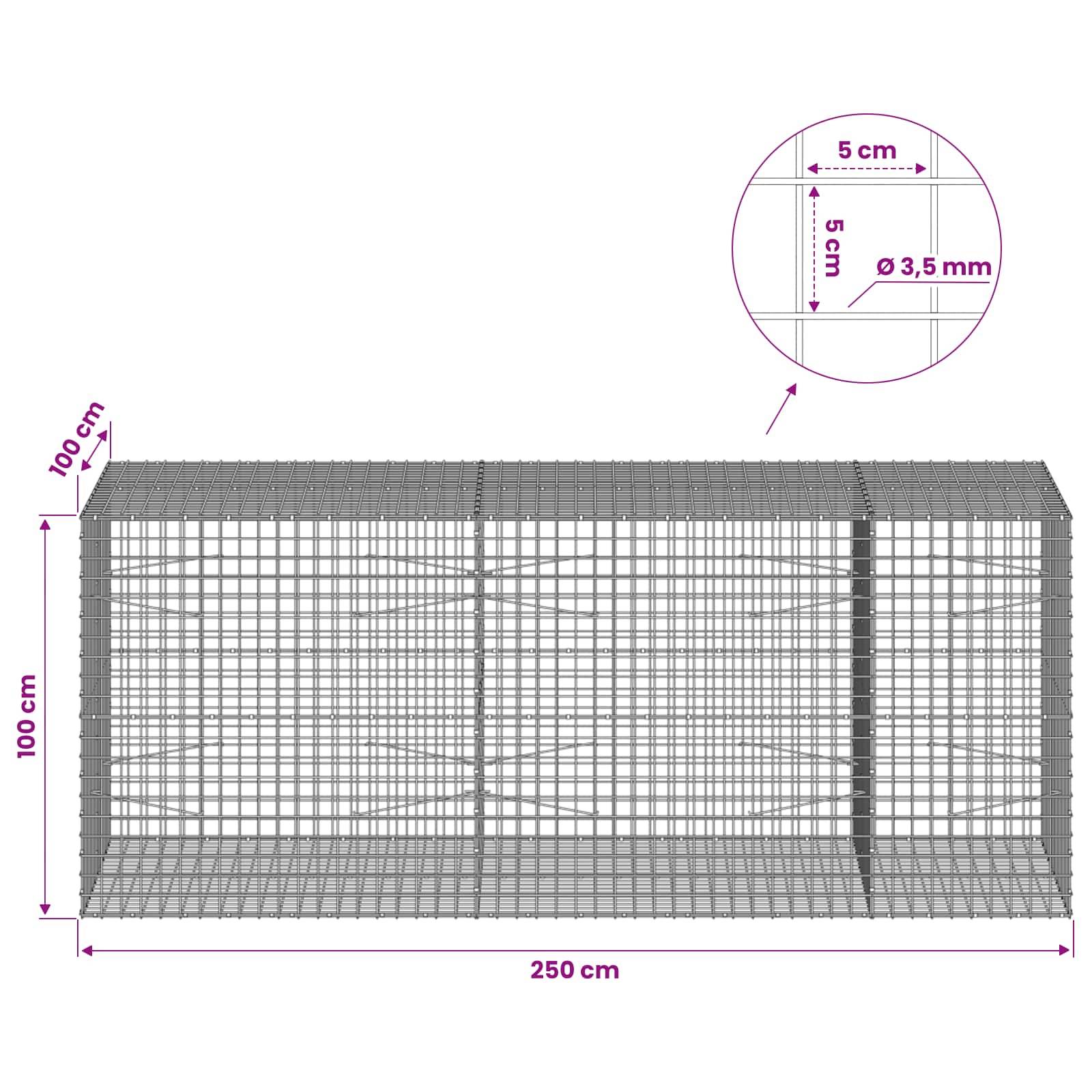 Drahtgeflecht-Gabionenkorb-Diagramm mit Abmessungen 250 cm Länge, 100 cm Höhe, 100 cm Tiefe, mit 5 cm Quadratmascheneröffnung und 3,5 mm Drahtdicke.