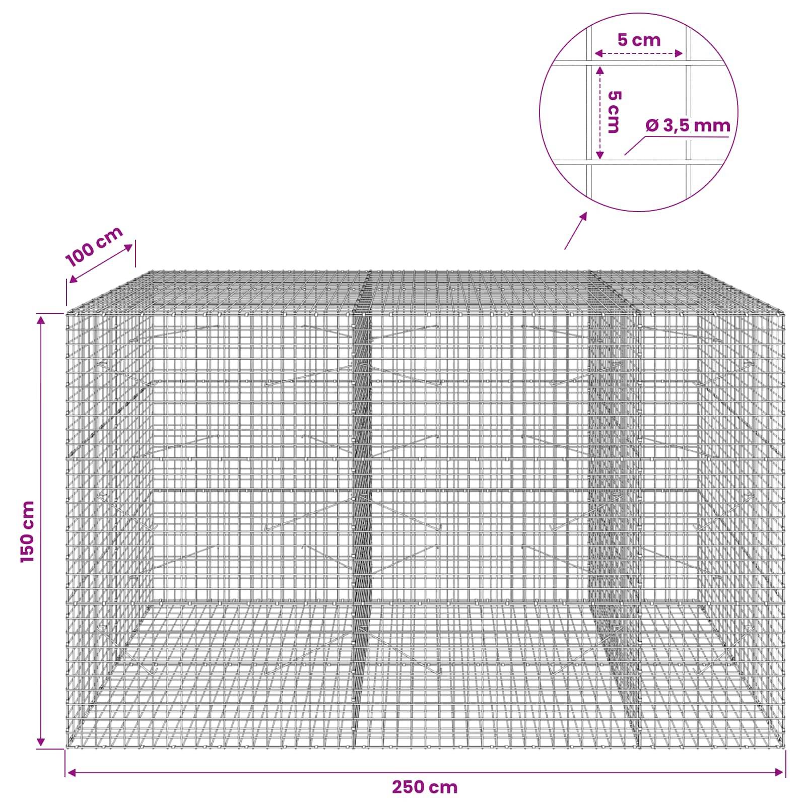 Drahtgitterkäfig-Diagramm, das ein rechteckiges Gehäuse mit einer Breite von 250 cm, einer Höhe von 150 cm und einer Tiefe von 100 cm zeigt, mit eingefügtem Detail, das ein 5-cm-Gitter und einen Drahtdurchmesser von 3,5 mm aufweist.