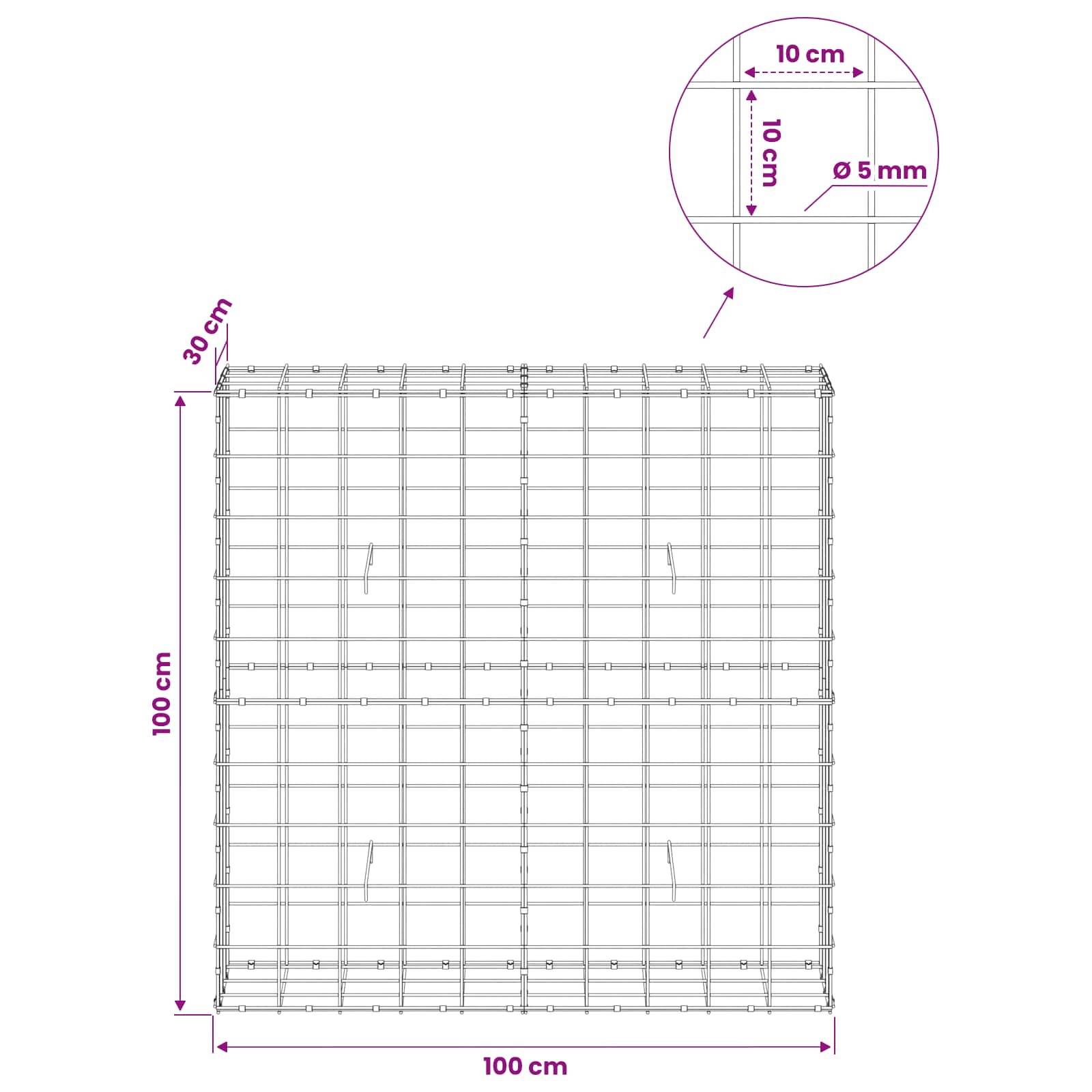 Drahtgeflecht-Paneel-Diagramm mit einem 100 cm × 100 cm großen quadratischen Gitter mit 30 cm Tiefe, plus eingefügtes Detail mit 10 cm Abstand und 5 mm Drahtstärke.