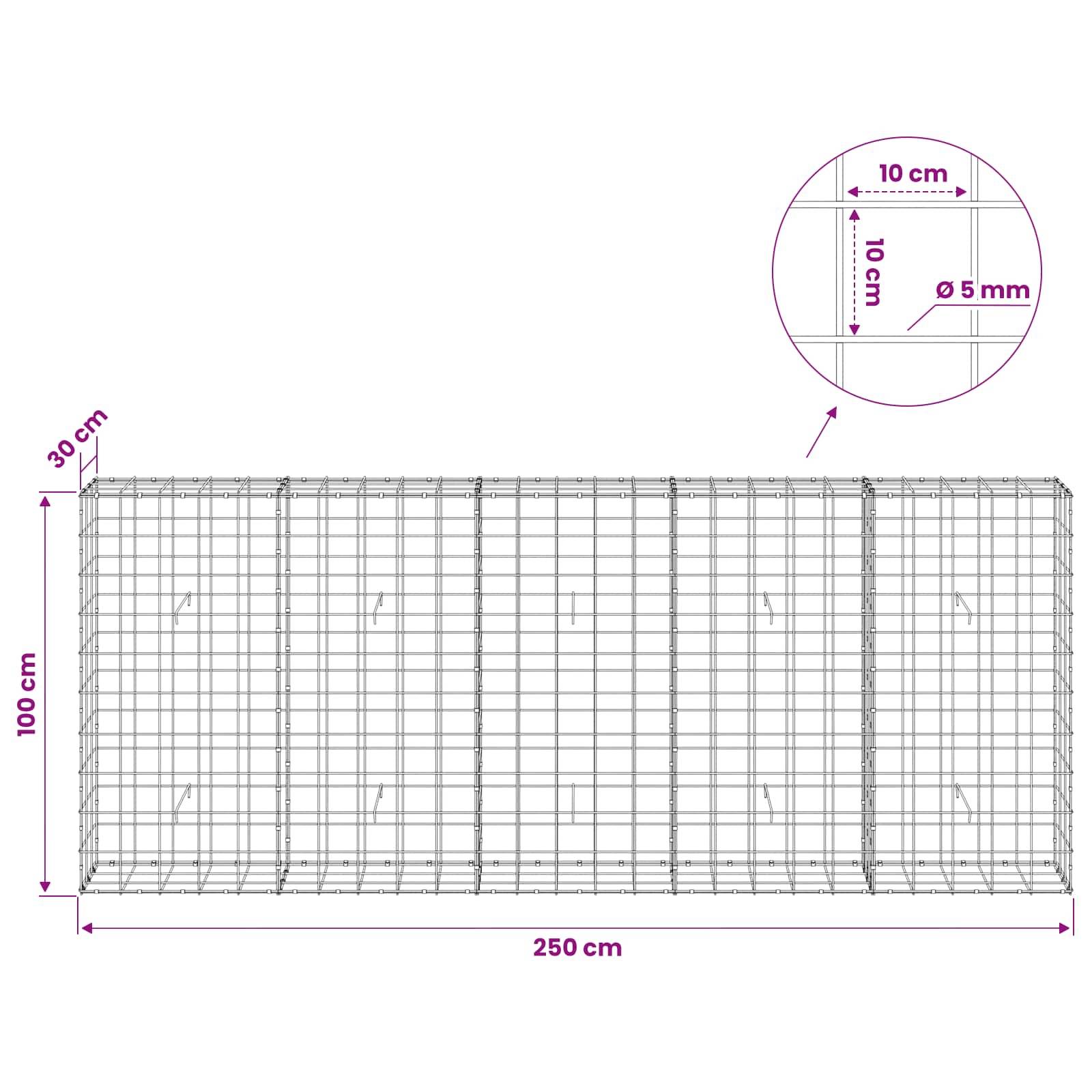 Drahtgeflecht-Gabionenkorb-Diagramm mit Abmessungen: 250 cm lang, 100 cm hoch, 30 cm tief, gefertigt aus 10 cm Paneelen und 5 mm Draht.