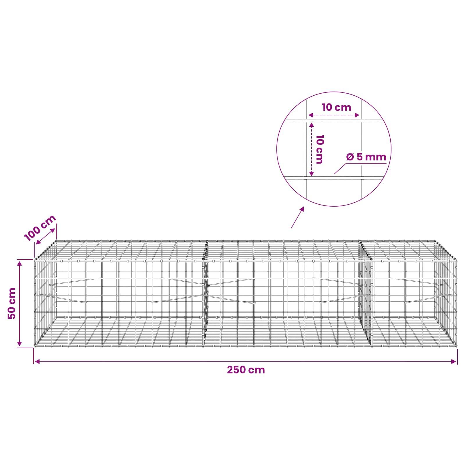 Drahtgeflecht-Rechteckkäfig-Diagramm mit den Maßen 250 cm Länge, 50 cm Höhe und 100 cm Breite; die Vergrößerung zeigt einen Maschenabstand von 10 cm und einen Drahtdurchmesser von 5 mm.