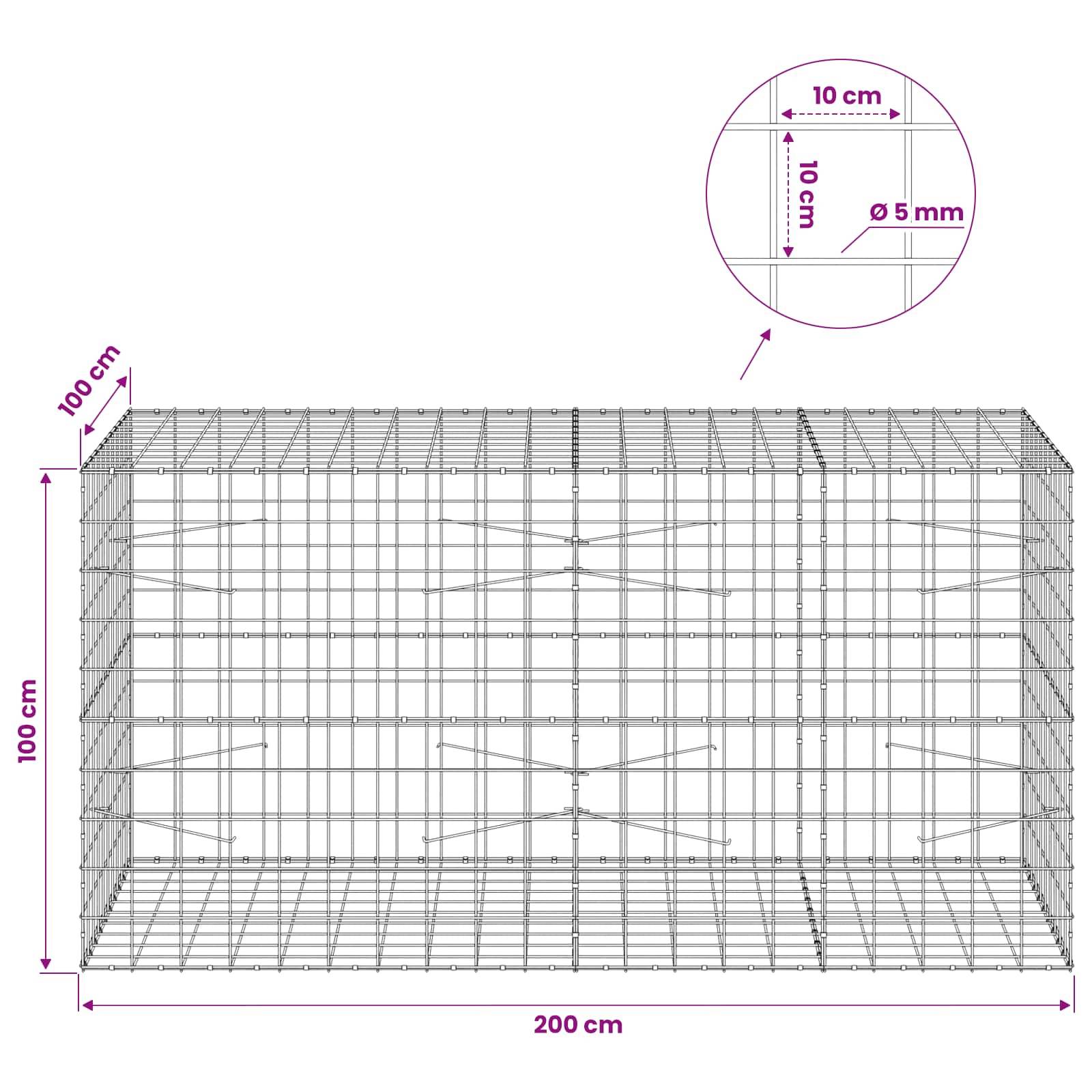 Drahtgitterdiagramm, das ein rechteckiges Gehäuse von 200 cm x 100 cm x 100 cm zeigt, das aus 5 mm Drahtgeflecht mit 10 cm Gitterabstand besteht.
