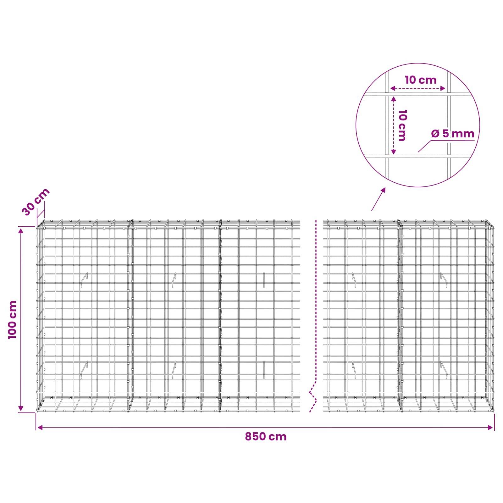 Technisches Diagramm eines Drahtgeflecht-Gehäuses mit einer Breite von 850 cm, einer Höhe von 100 cm und einer Tiefe von 30 cm, mit einer Detailzeichnung, die einen Gitterabstand von 10 cm und einen Drahtdurchmesser von 5 mm zeigt.