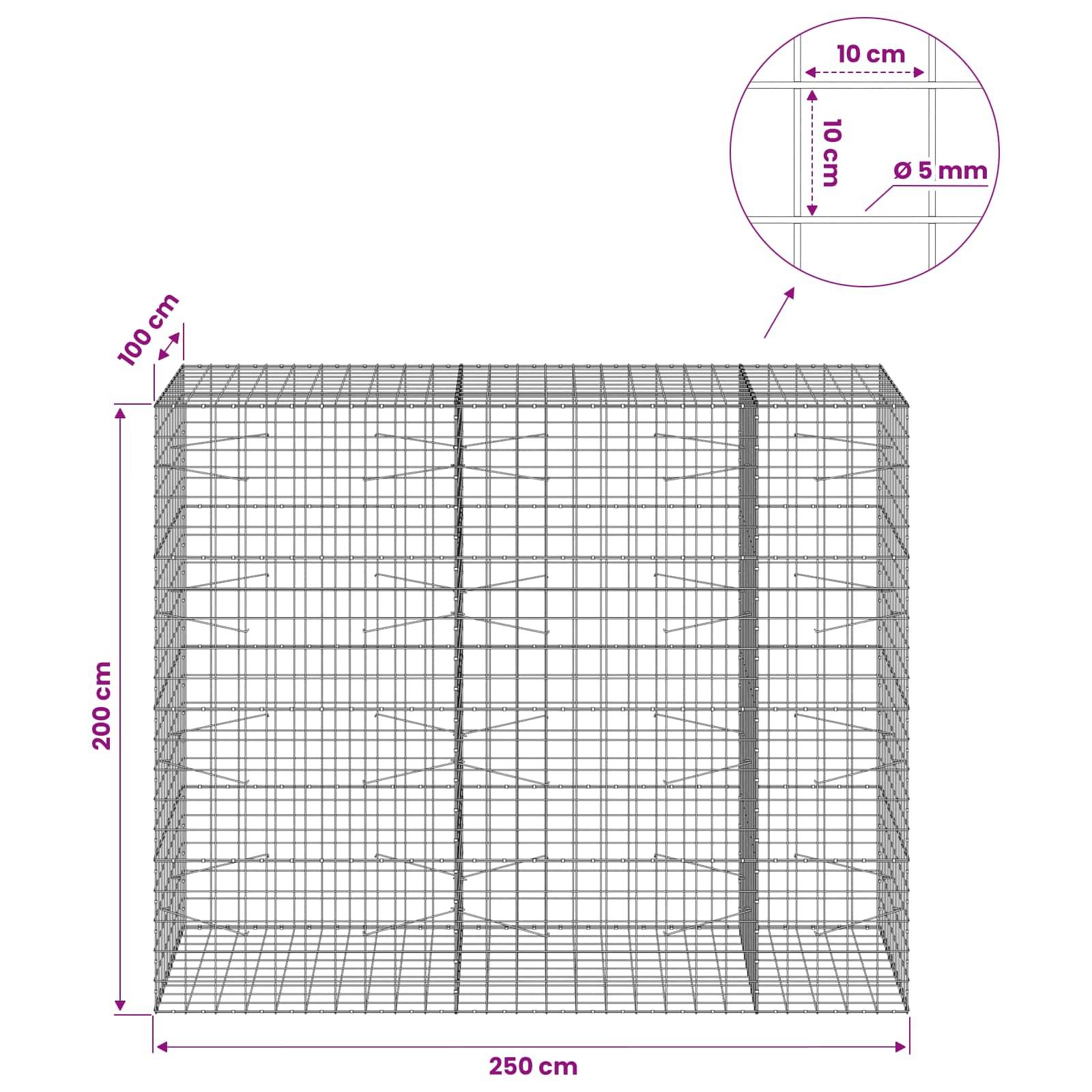 Drahtgitter-Gabionenkörper-Diagramm mit Abmessungen 250 cm Breite, 200 cm Höhe, 100 cm Tiefe, mit 10 cm Maschenweite und 5 mm Drahtdurchmesser.