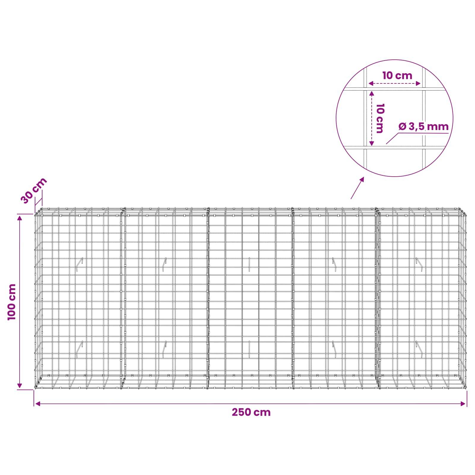Diagramm eines rechteckigen Drahtgeflecht-Käfigs, 250 cm lang, 100 cm hoch, 30 cm tief, mit 10 cm Gitterabstand und 3,5 mm Drahtdurchmesser-Detail.