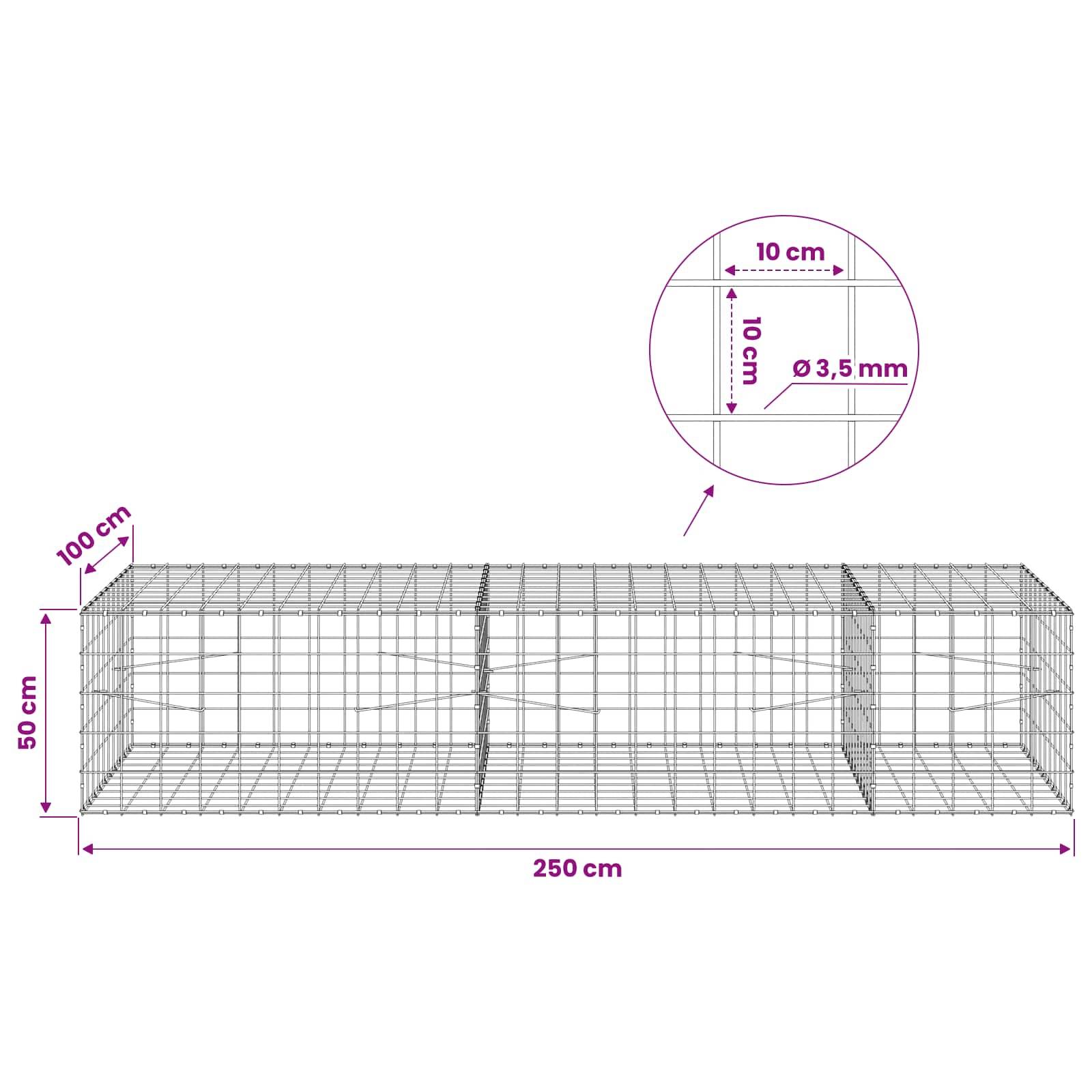 Drahtgitterkäfig-Diagramm mit einem 250 cm x 50 cm x 100 cm großen Gehäuse mit 10 cm Gitterabstand und 3,5 mm Drahtdurchmesser.