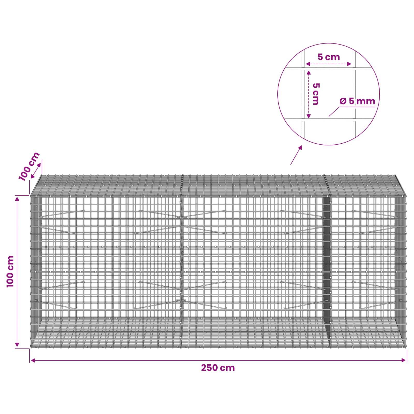 Diagramm eines Drahtkörbe-Gabions mit Drahtgeflecht, das die Abmessungen zeigt: 250 cm lang, 100 cm hoch, 100 cm tief, mit 5 cm quadratischem Maschenwerk und 5 mm Drahtdurchmesser.