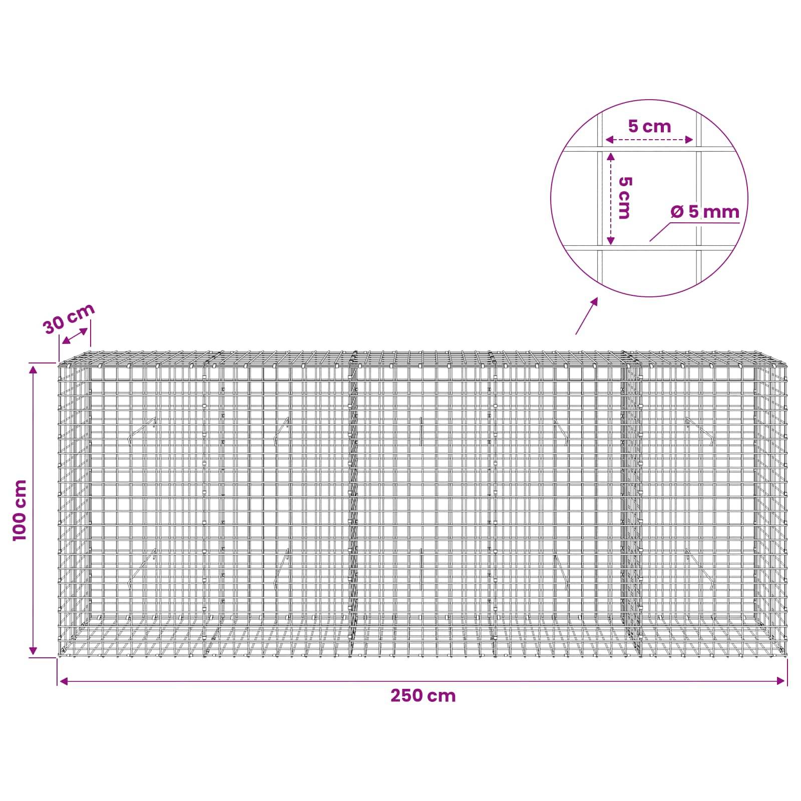 Drahtgitter-Gabionenkorbdiagramm mit den Abmessungen 250 cm Länge, 100 cm Höhe, 30 cm Tiefe, mit 5 cm Gitterabstand und 5 mm Drahtdurchmesser.