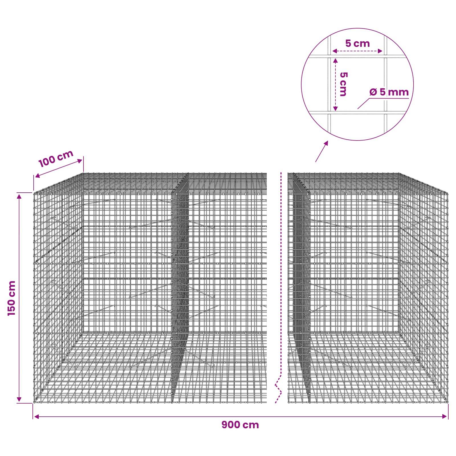 Technisches Diagramm von zwei Drahtgitter-Gabionenkörben, jeweils 100 cm x 150 cm, nebeneinander dargestellt mit einer Gesamtlänge von 900 cm und Detailausschnitt, der 5 cm Maschenweite und 5 mm Drahtdicke anzeigt.