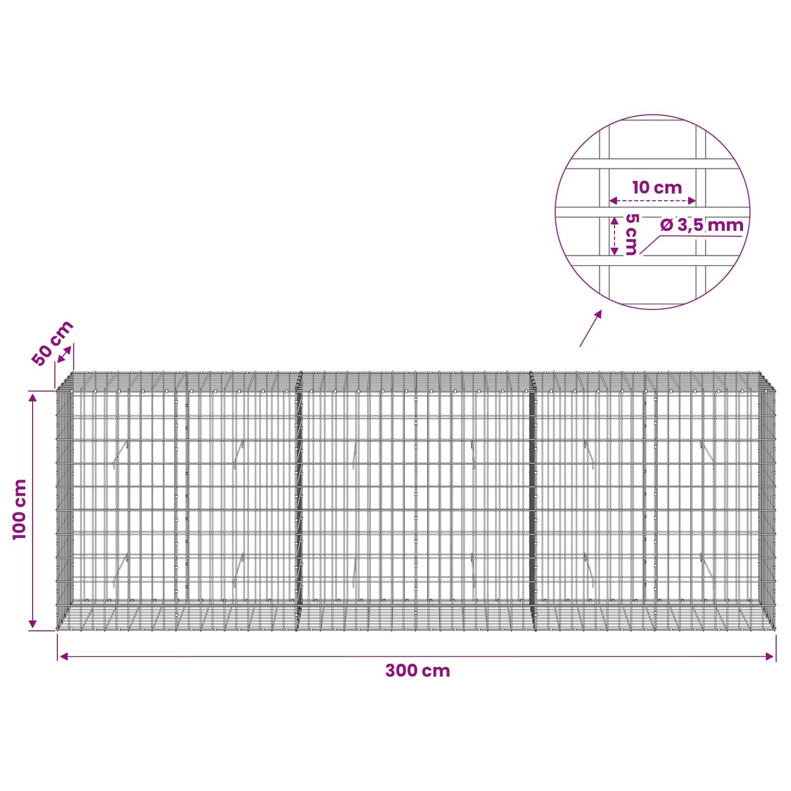Technisches Diagramm eines Drahtgeflecht-Gehäuses mit den Abmessungen 300 cm Länge, 100 cm Höhe und 50 cm Tiefe, mit Ausschnitt, der einen Maschenabstand von 10 cm x 5 cm und einen Drahtdurchmesser von 3,5 mm zeigt.