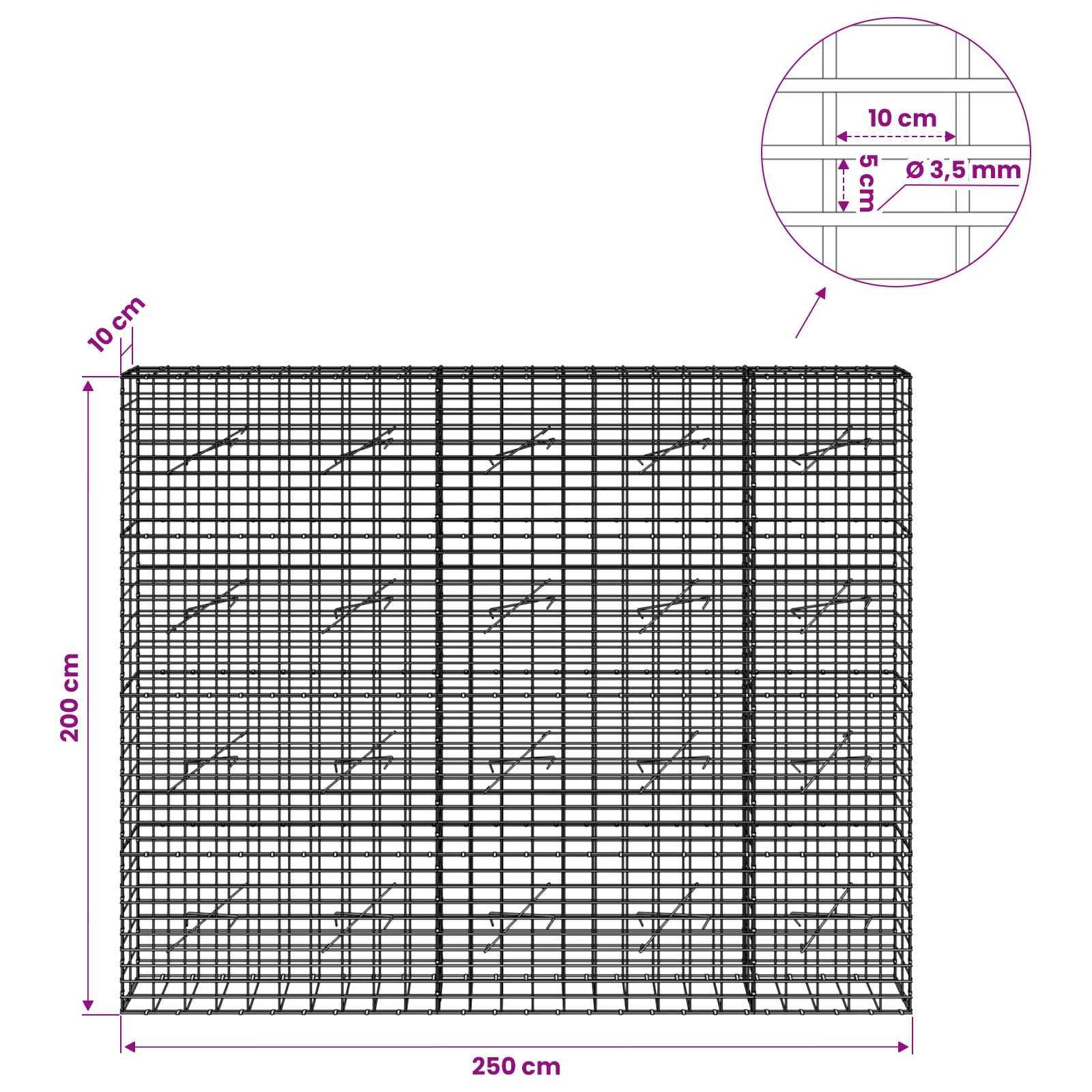 Drahtgitterpanel-Diagramm, das ein rechteckiges Gitter mit Abmessungen von 250 cm Breite, 200 cm Höhe und 10 cm Tiefe zeigt; Ausschnitt hebt 10 cm Abstände und 3,5 mm Drahtdurchmesser hervor.