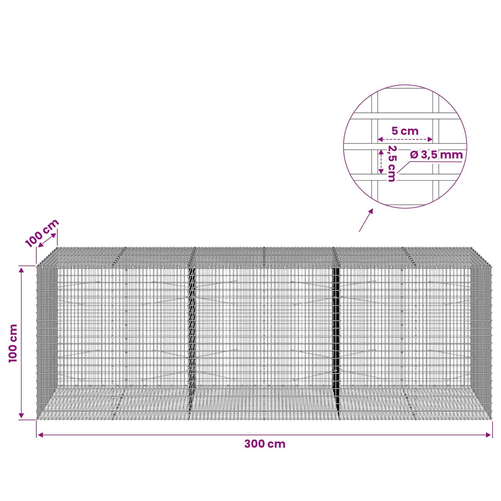 Illustration eines Drahtgittergitters mit einer rechteckigen Käfig von 300 cm Länge, 100 cm Breite und 100 cm Höhe, mit eingefügtem Detail eines 5-cm-Gitters und einer Drahtdicke von 3,5 mm.