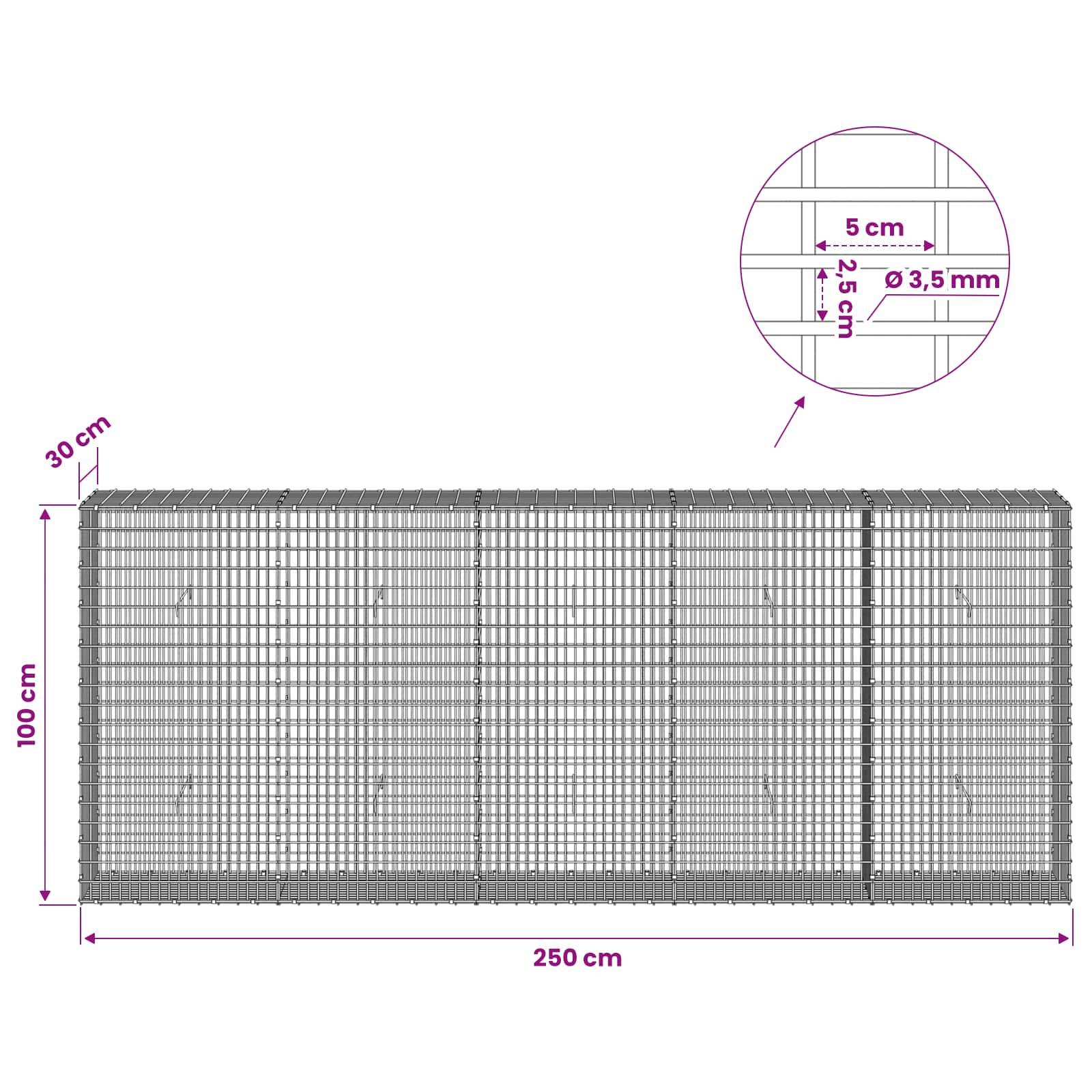 Drahtgeflecht-Paneldiagramm mit Abmessungen: 250 cm breit, 100 cm hoch, 30 cm Tiefe; eingefügte Detailansicht zeigt 5 cm x 2,5 cm Maschenweite mit 3,5 mm Draht.
