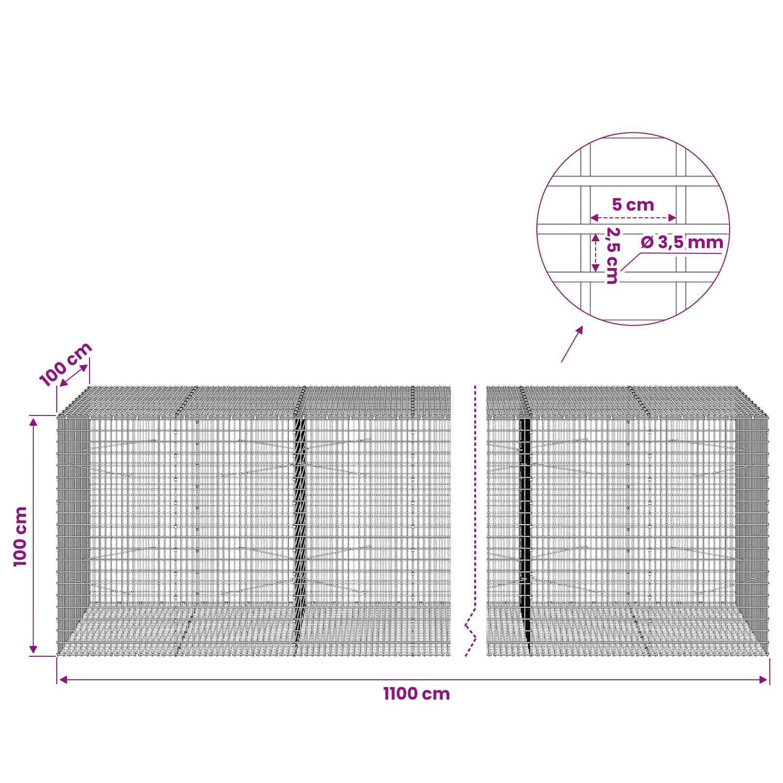 Technisches Diagramm von zwei Drahtgitter-Gabionenkästen, jeweils 100 cm hoch und tief und 1100 cm lang, mit Ausschnitt zeigt 5 cm Maschenweite und 3,5 mm Drahtdurchmesser.