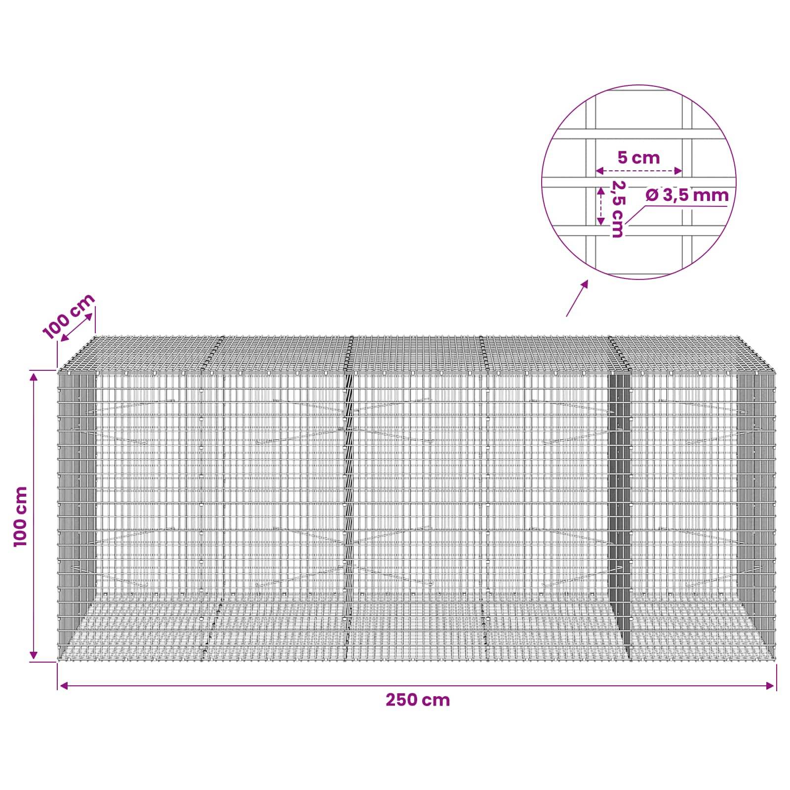 Drahtgeflecht-Gabionenkörbe-Diagramm mit Abmessungen 250 cm Länge, 100 cm Höhe, 100 cm Tiefe, mit Nahaufnahme der Maschenweite 5 cm x 2,5 cm und 3,5 mm Drahtdurchmesser.