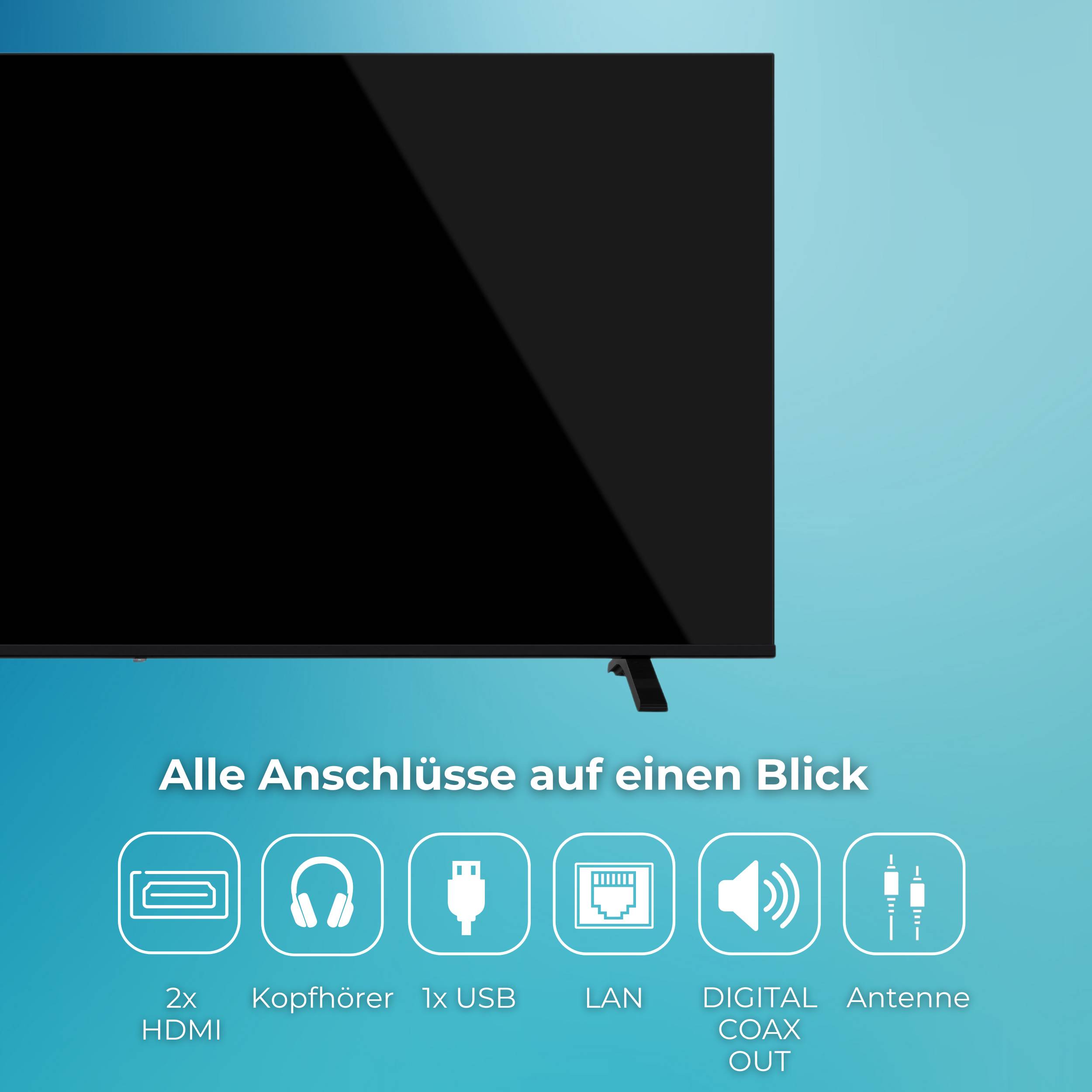 Fernsehbildschirm zeigt „Alle Anschlüsse auf einen Blick" mit Symbolen für 2x HDMI, Kopfhörer, 1x USB, LAN, digitaler Koaxialausgang und Antennenanschlüsse.
