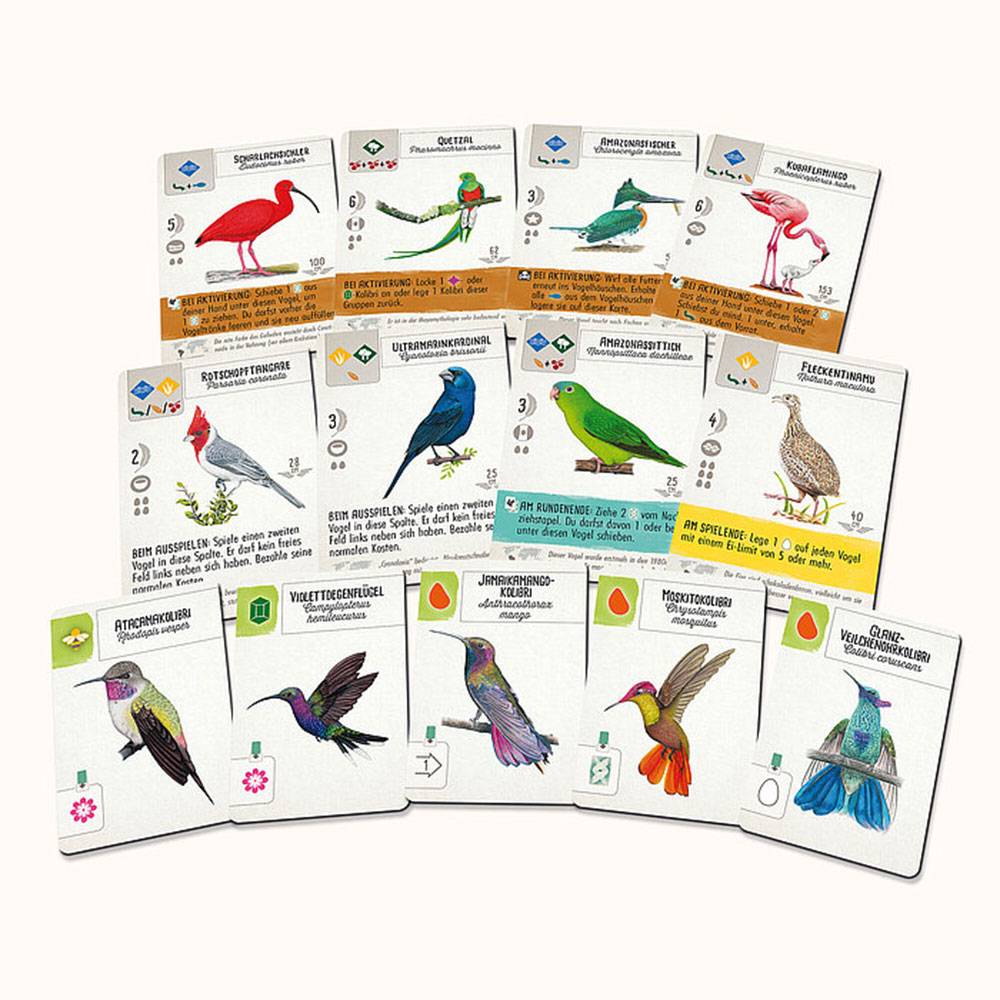 Ein Satz illustrierter Vogelspielkarten, aufgefächert auf weißem Hintergrund, jede zeigt eine andere farbenfrohe Vogelart mit Namen und Symbolen.
