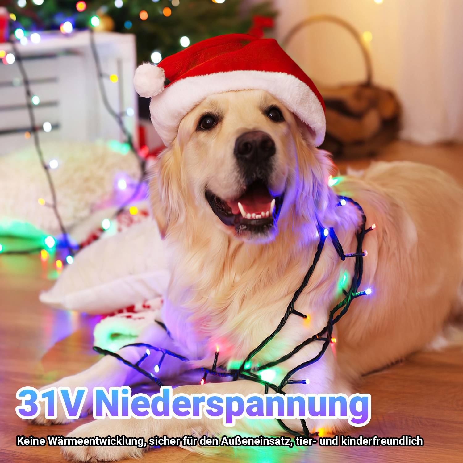 Goldener Retriever mit Weihnachtsmütze, umwickelt mit mehrfarbigen Lichterketten, mit deutschem Text „31V Niederspannung" und „Keine Wärmeentwicklung, sicher für den Außeneinsatz, tier- und kinderfreundlich"".