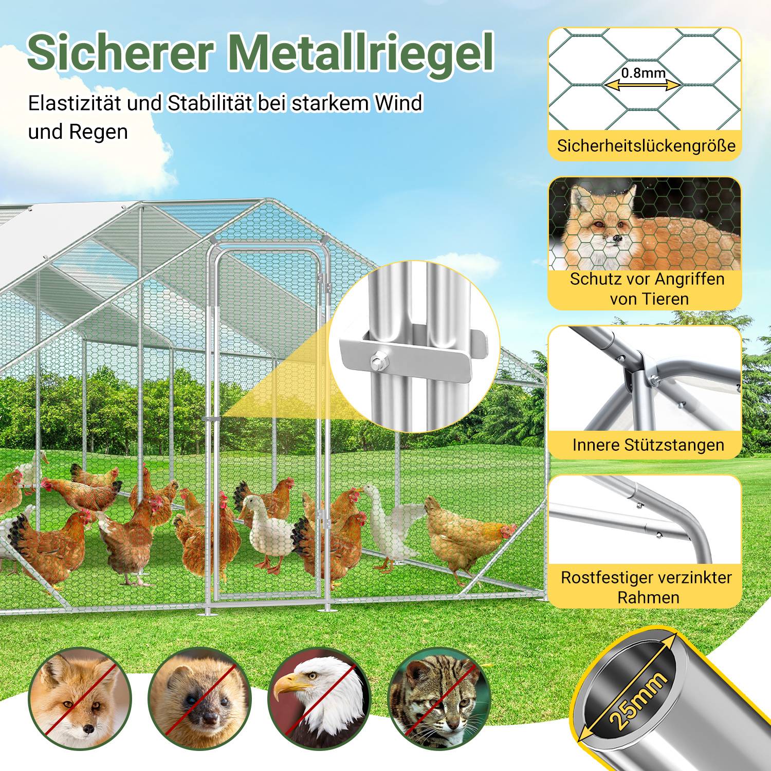 Illustration eines sicheren Metallgeflügelstalls mit Hühnern im Inneren, die 0,8 mm Maschenweite, Tierschutz, innere Stützbalken, rostfreien verzinkten Rahmen und einen Rohrdurchmesser von 25 mm hervorheben.