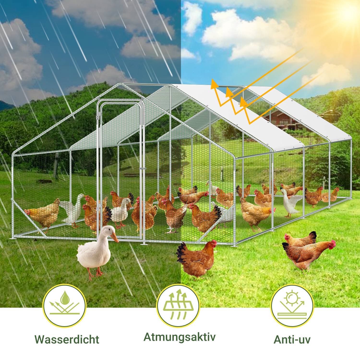 Illustration eines Hühnerstalles mit Dachpaneelen, die Hennen vor Regen, Luftzirkulation und Sonnenlicht schützen, beschriftet mit „Wasserdicht", „Atmungsaktiv"" und „Anti-UV"".