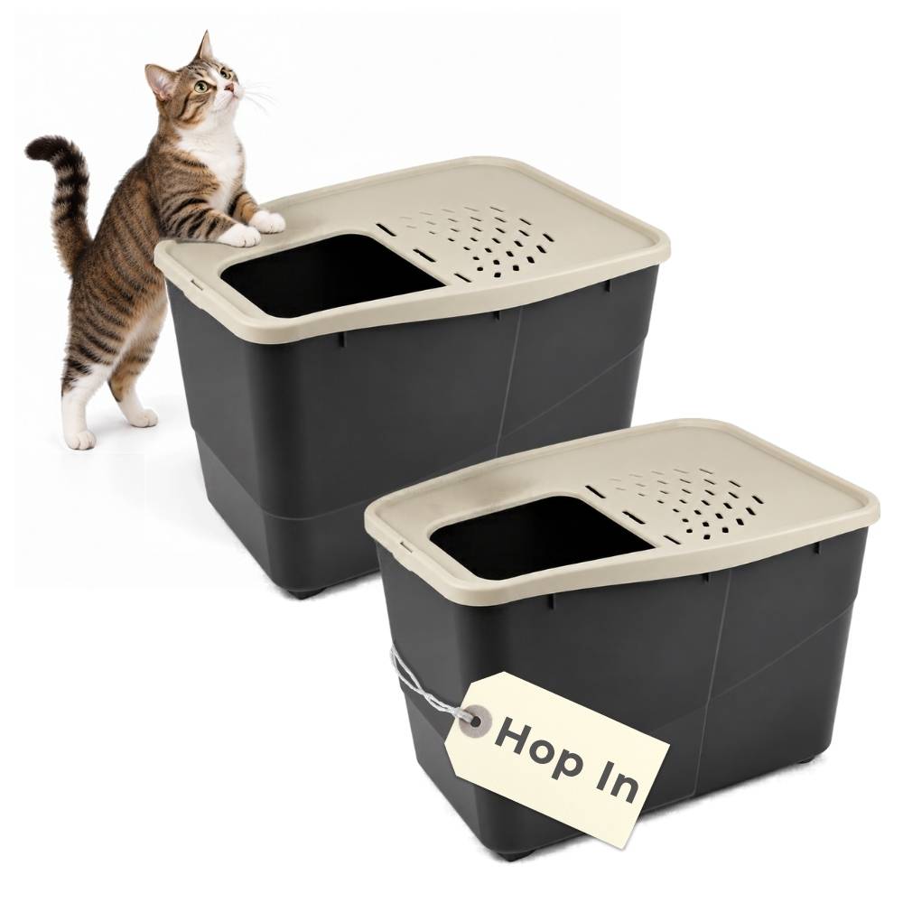 Katze neben abgedeckter Katzentoilette; zweite Katzentoilette mit dem Etikett „Hop in