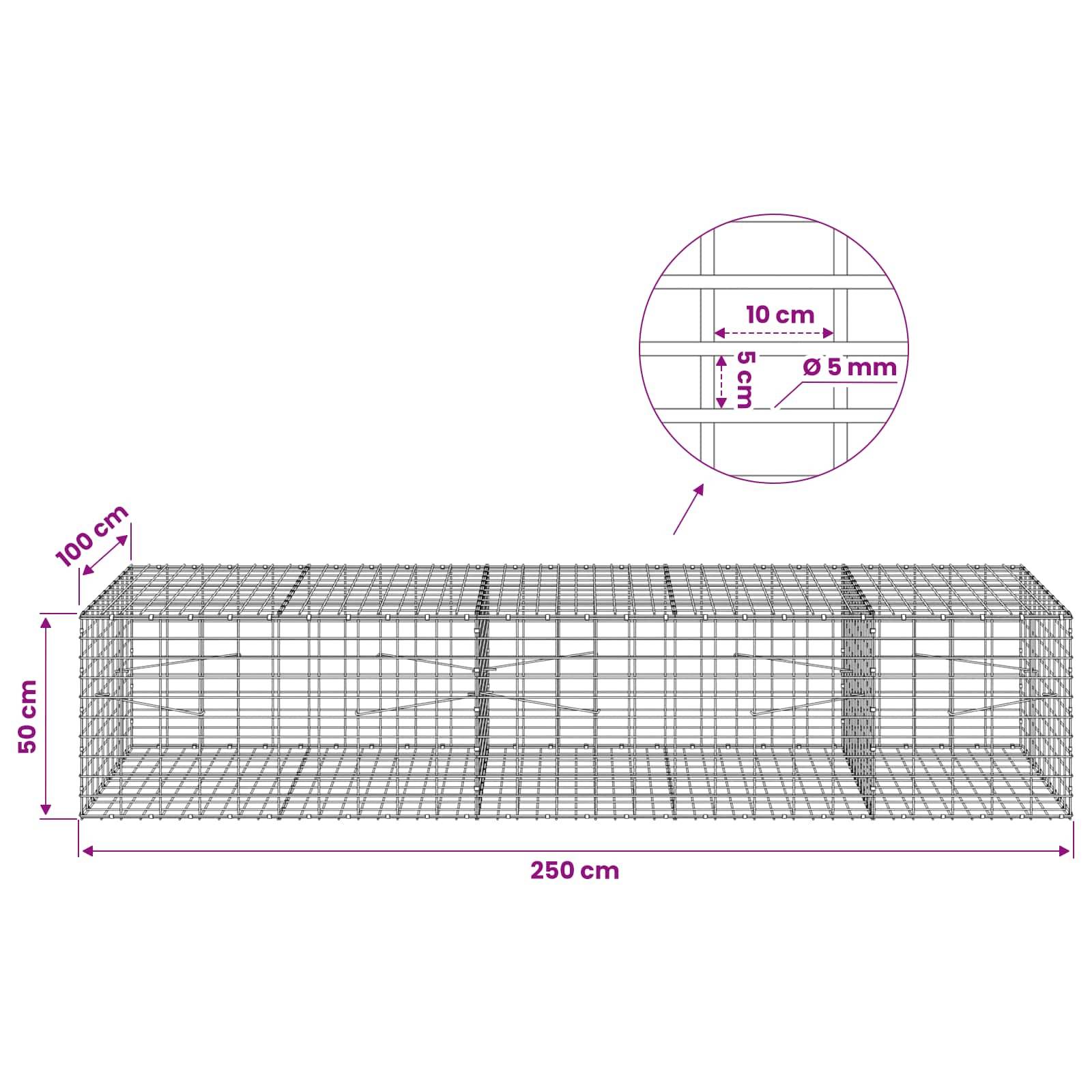 Drahtgeflecht-Käfig-Diagramm mit Abmessungen von 250 cm Länge, 100 cm Breite und 50 cm Höhe, mit eingefügtem Detail von 10 cm x 5 cm Maschenöffnungen aus 5 mm Draht.