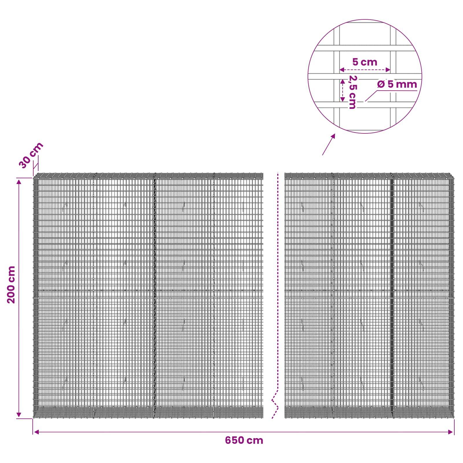 Diagramm eines Drahtgitterpaneels mit Abmessungen: 650 cm breit, 200 cm hoch, 30 cm Tiefe, mit 5 cm mal 2,5 cm Gitteröffnungen aus 5 mm Draht.