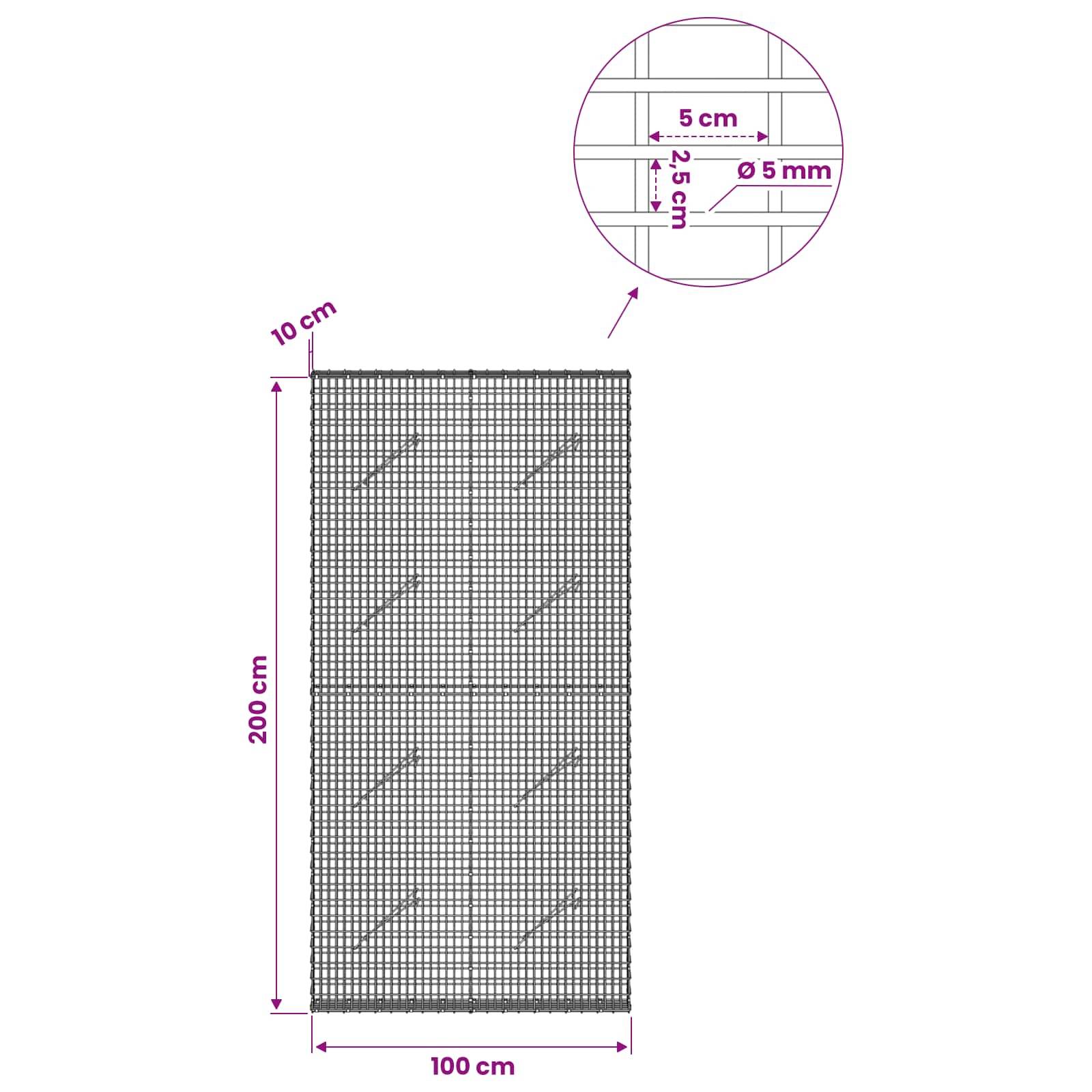 Diagramm einer bewehrten Betonplatte: 200 cm hoch und 100 cm breit, mit 10 cm Kantenüberdeckung und eingelassetem Detail, das 5 cm Abstände und 5 mm Stäbe zeigt.
