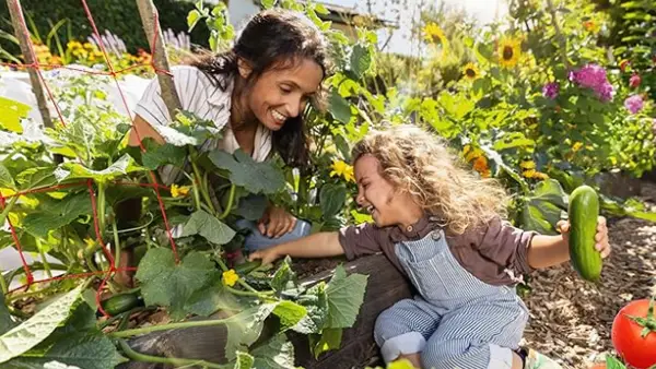 Einfach selbst anbauen