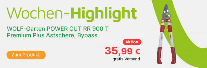 Banner Wochenhighlight