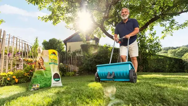 Rasen richtig düngen