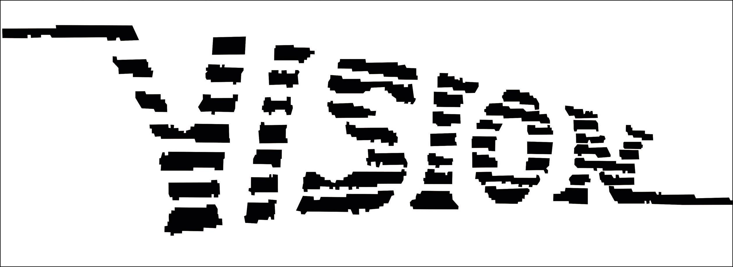 Hersteller: VISION GUITAR