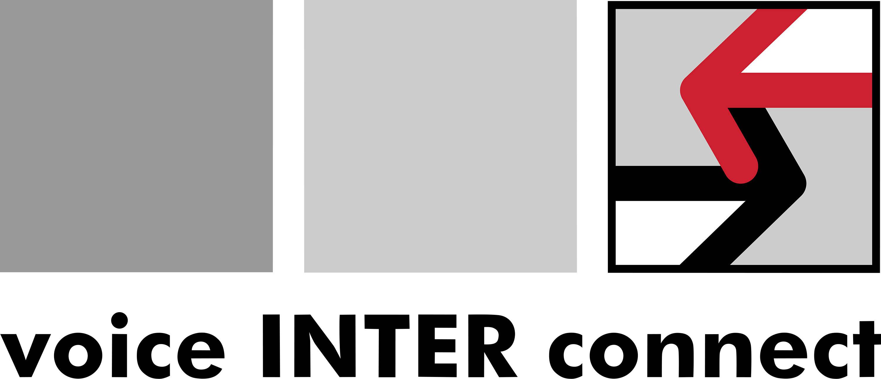 Hersteller: Voice Inter Connect