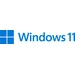 Microsoft Windows Pro 11 64-Bit USB-Stick Vollversion, 1 Lizenz Betriebssystem Microsoft Windows Pro 11 64-Bit USB-Stick Vollversion, 1 Lizenz Betriebssystem