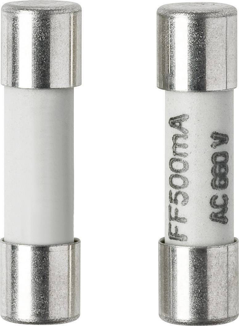 Two cylindrical fuses with silver end caps, labelled 'FF500mA AC 660V'. They are used to protect electrical equipment.
