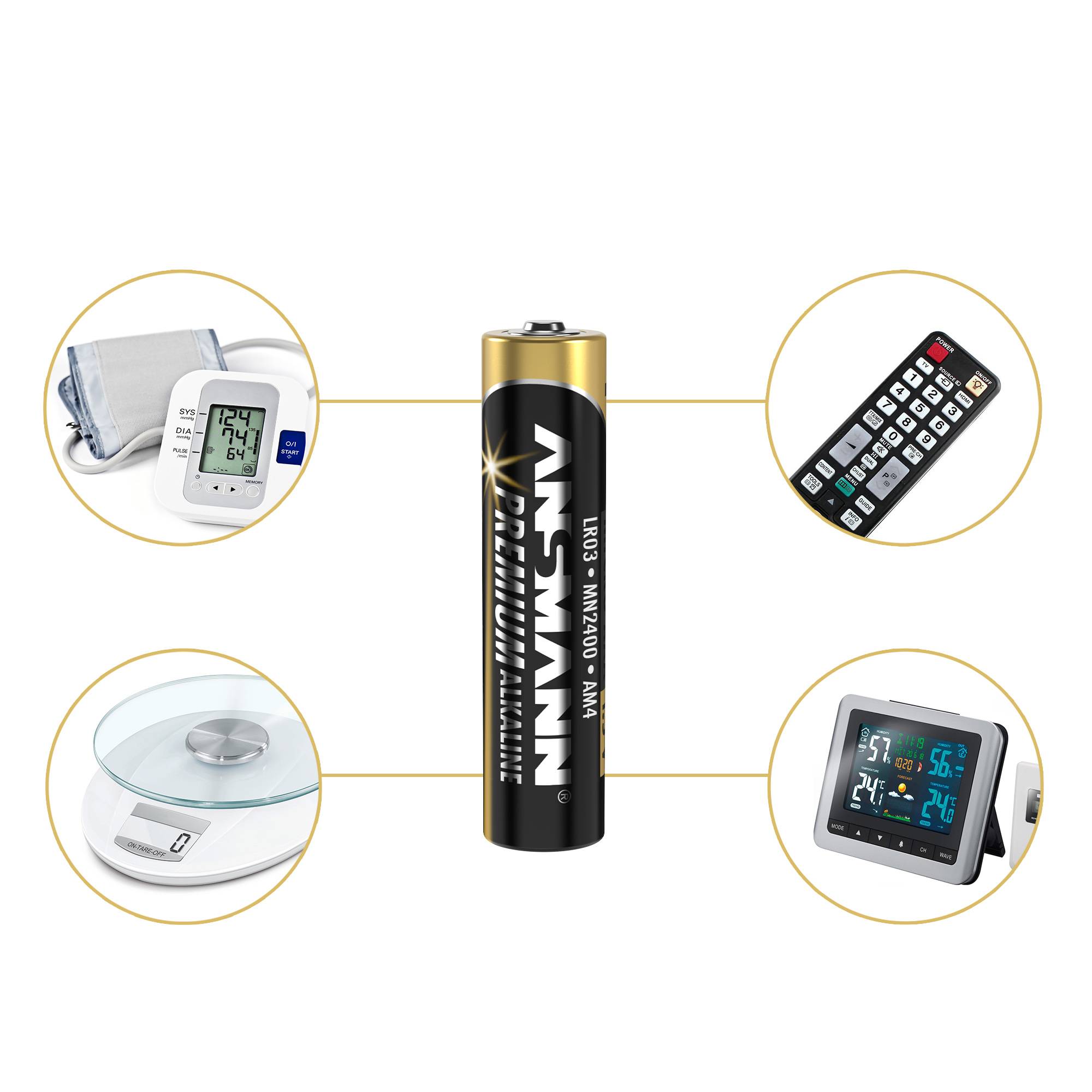 Battery with the inscription 'Alkaline Micro AAA 1.5V'. Beside it, a label for quality assurance stating 'Performance, Manufacturing'.