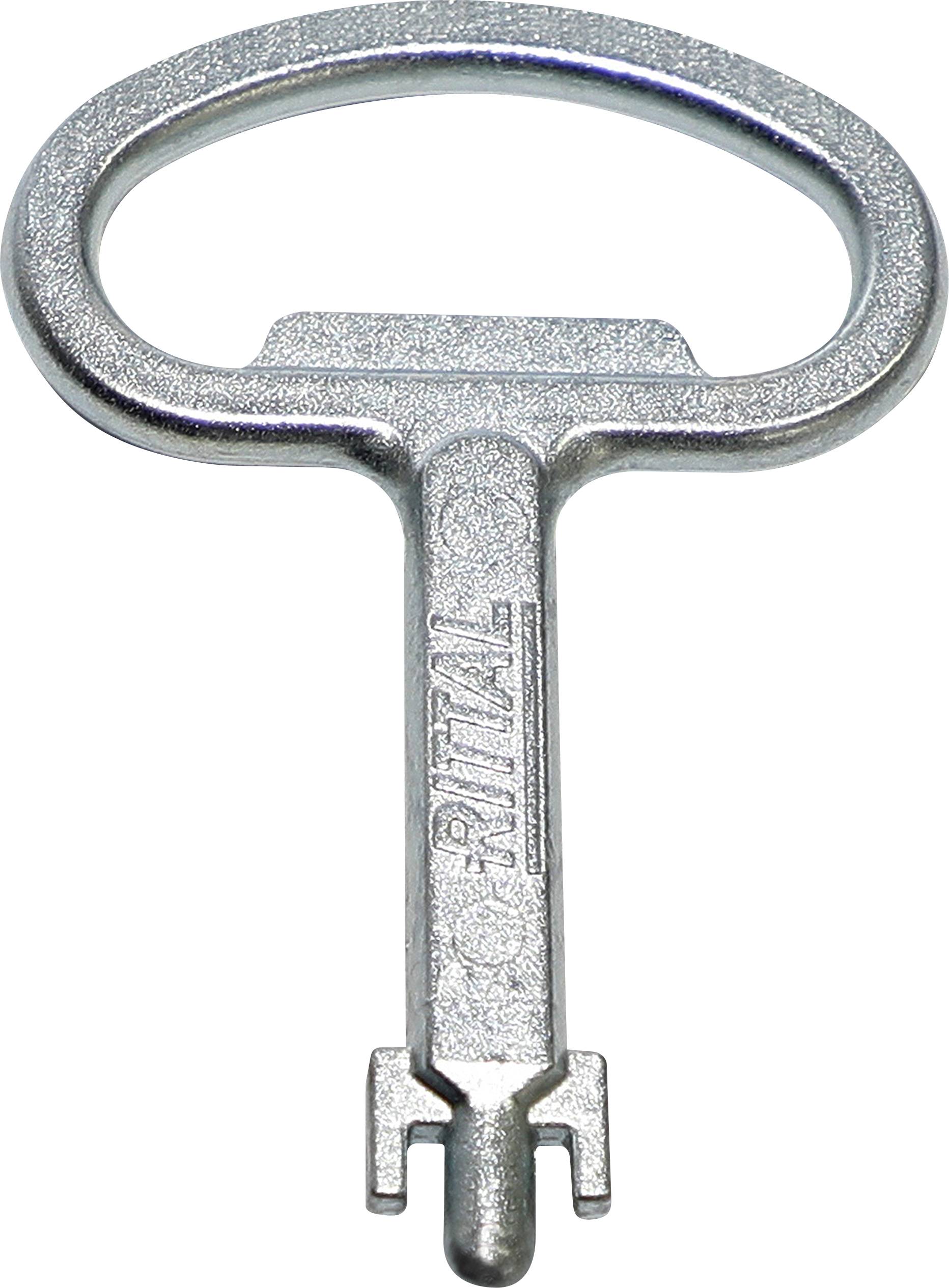 A silver electrical cabinet key with an oval head and handle, on which the inscription 'RITTAL' is engraved.