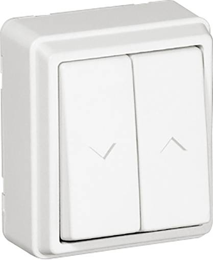 A white intermediate switch with two toggle switches. Each switch has a small triangle pointing downwards and upwards.