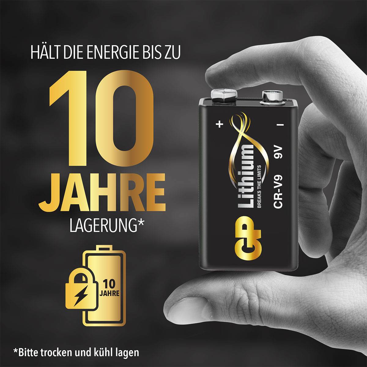 Lithium Battery in hand, Text: 'Maintains Energy for up to 10 Years of Storage'. Recommended Storage: dry and cool.