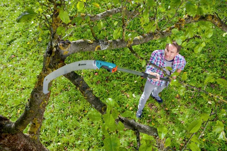 A man in a checked shirt is cutting branches from a tree with a pruning saw in a green garden.