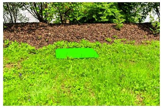 Heitronic 21042 Floor socket Black, Green