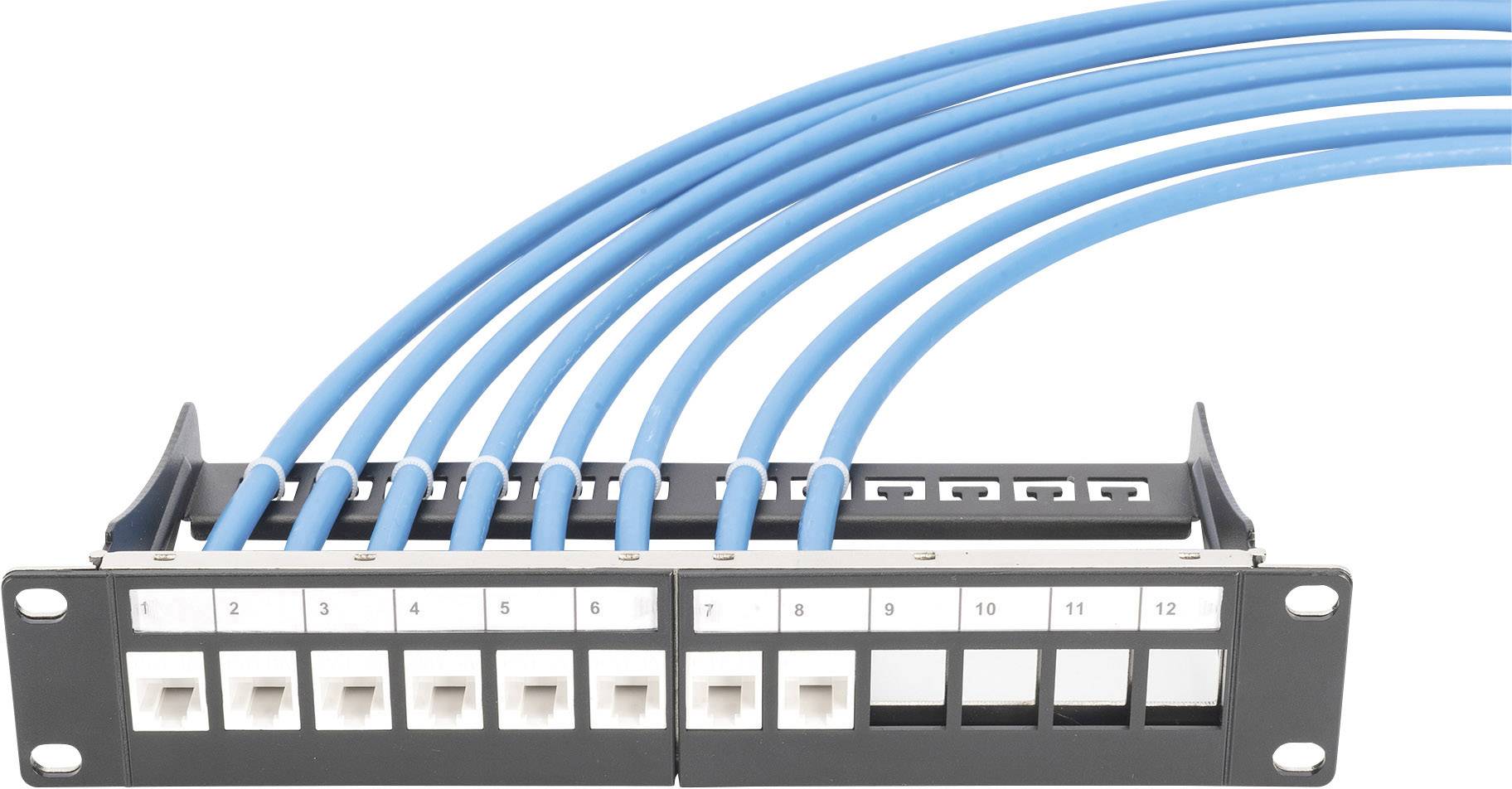 A patch panel with twelve ports, six of which have blue Ethernet cables connected.