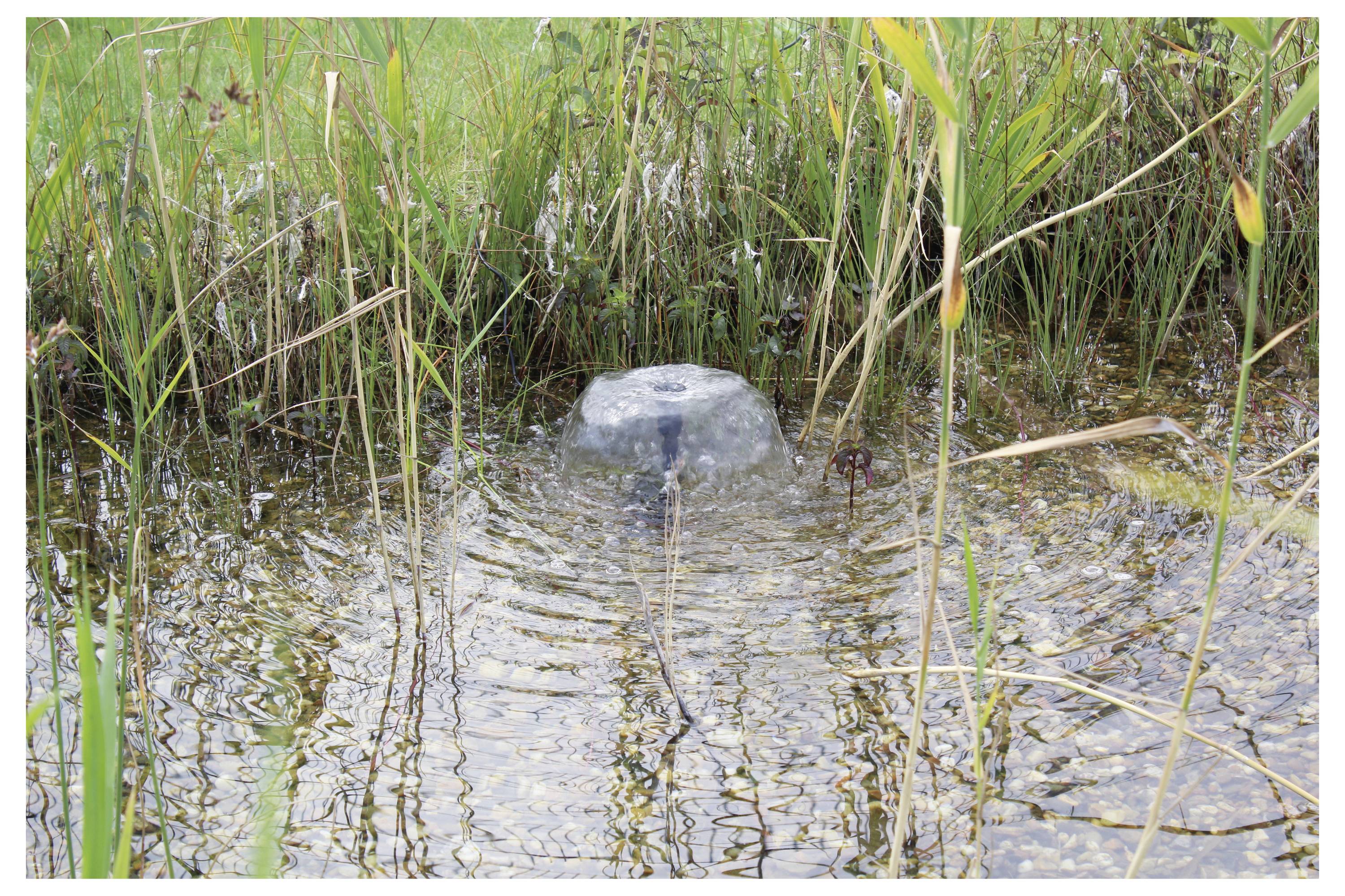 A small water fountain in a pond surrounded by tall grass and plants shakes the water surface, creating ripples on a calm day.