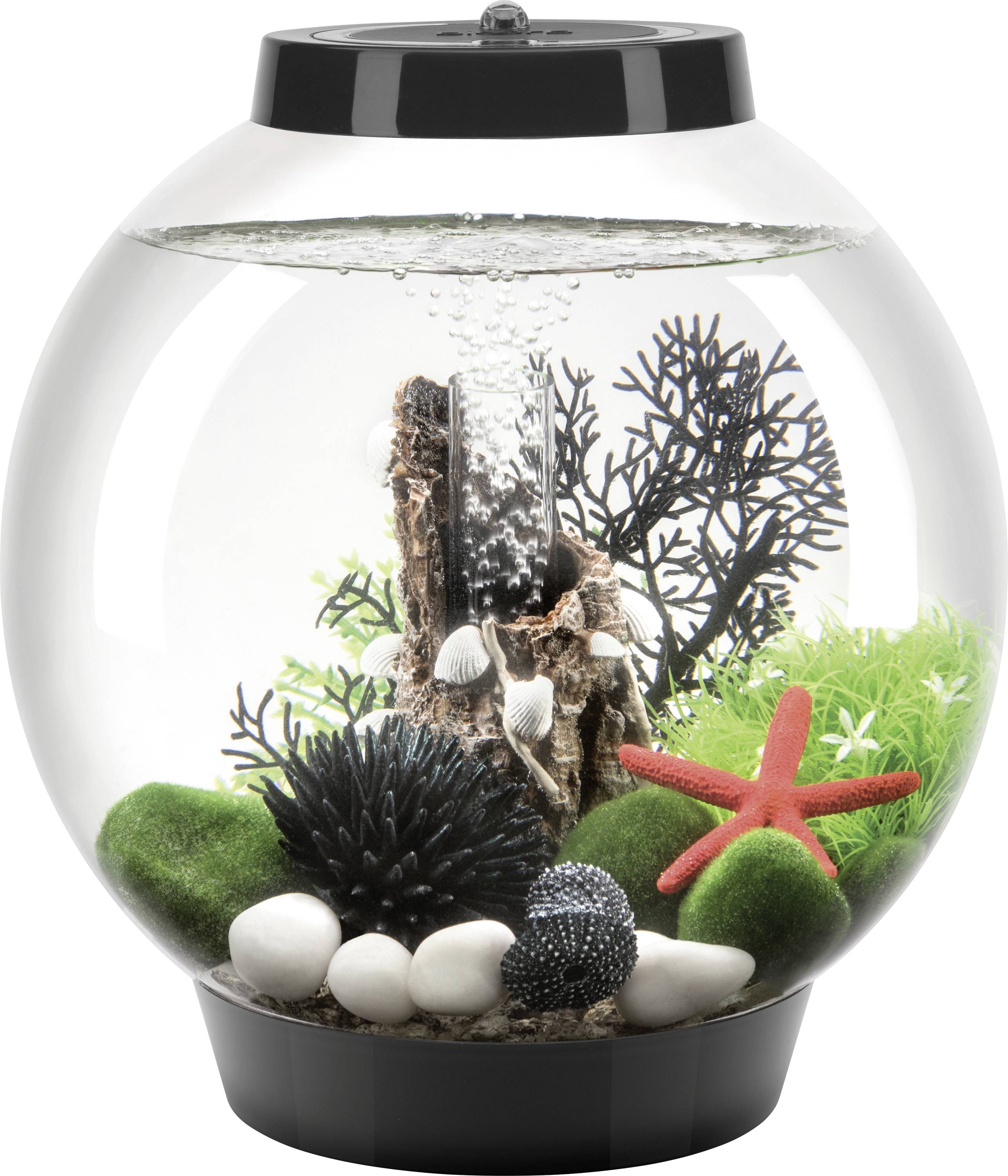 A small aquarium with a black base containing a mix of artificial plants, rocks, and seashells, with bubbles rising from a filter.