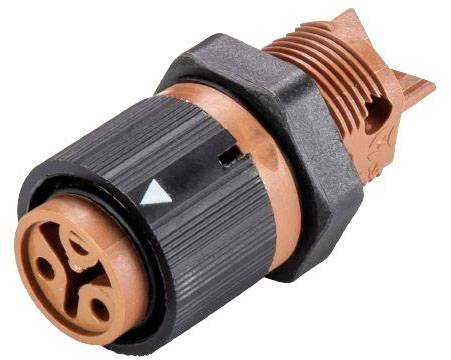 Wieland Electric 46.031.5051.4 Bullet connector Socket, built-in Total number of pins: 2 Series (round connectors): RST® MINI
